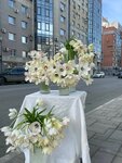 Symphony Flowers (Molodogvardeyskaya Street, 131), flower shop