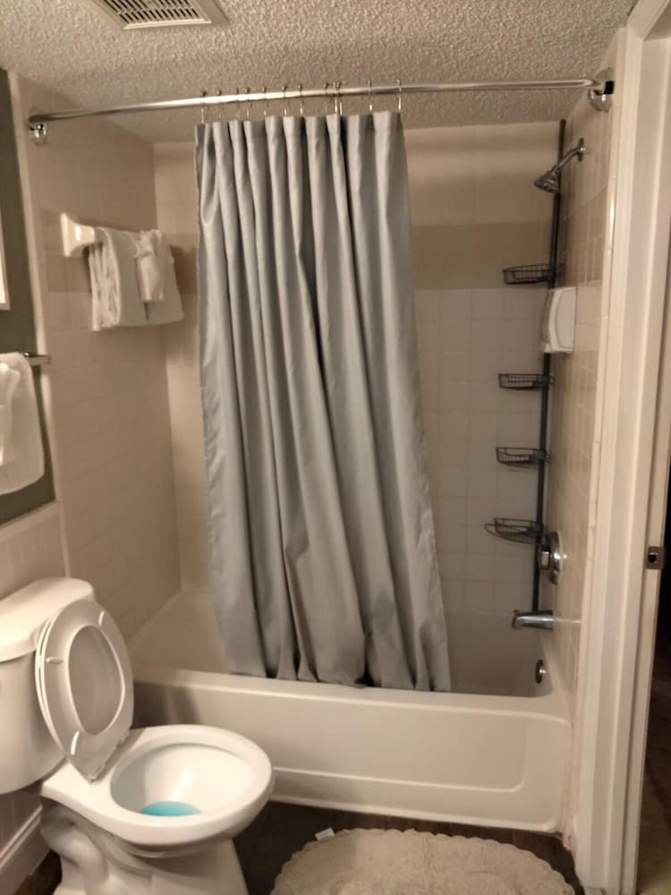 Фото Tropical Enchanted Oaks Villa