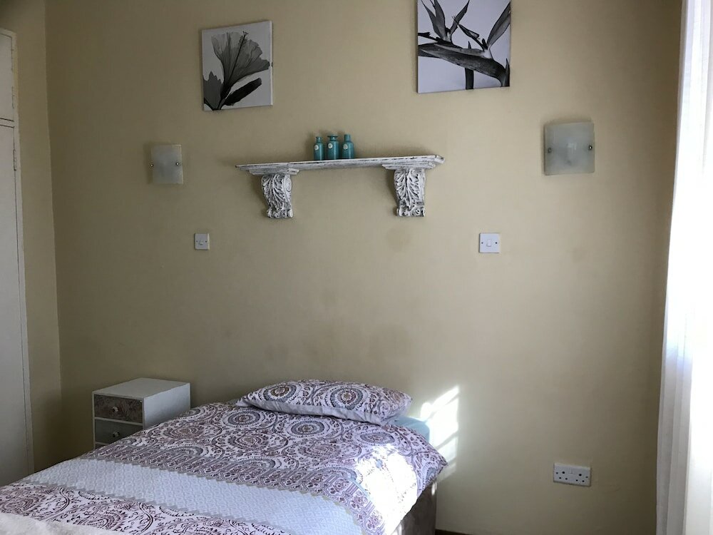 Фото Vintage Palm