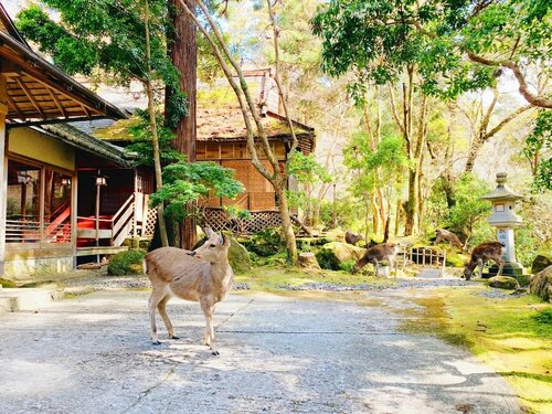 Гостиница Tsukihitei Ryokan