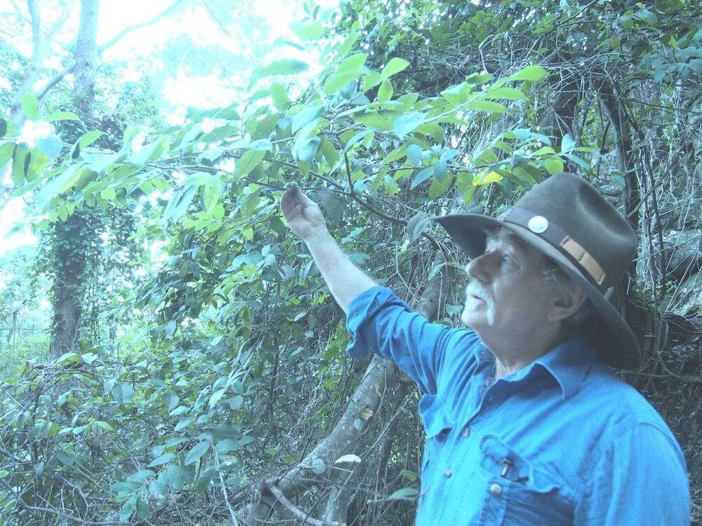 Фото Bestbrook Mountain Resort