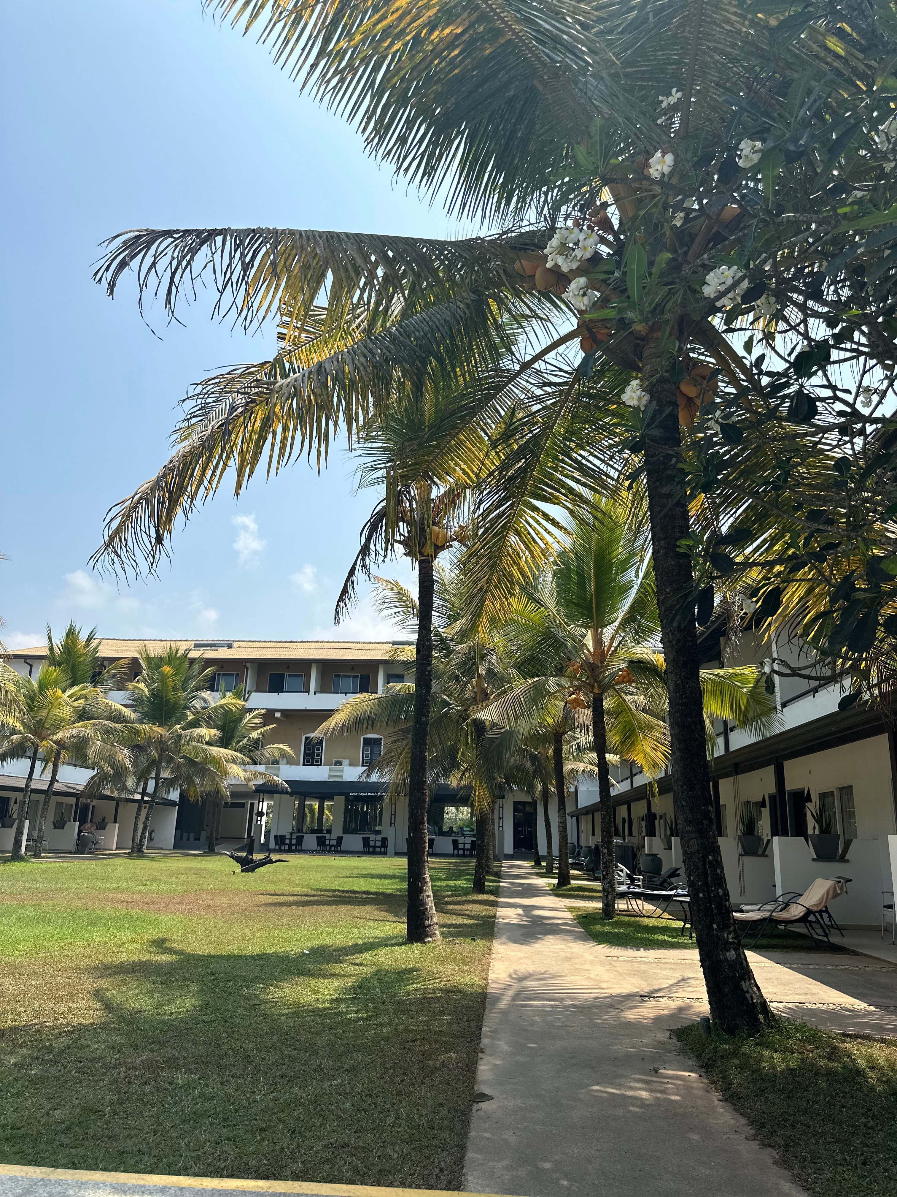 Фото Coco Royal Beach Resort - Waskaduwa