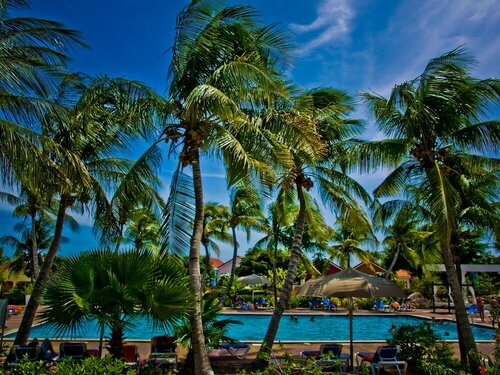 Гостиница Livingstone Jan Thiel Beach Resort в Виллемстаде