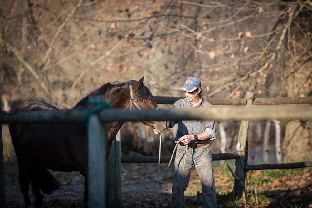 Фото Hotel Rural Maria da Fonte