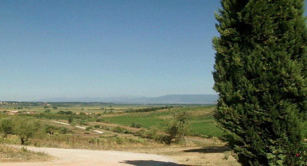 Фото Agriturismo Musignano