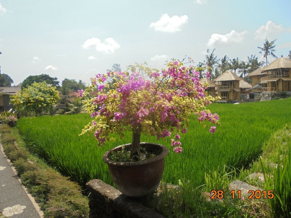 Фото 194778772671