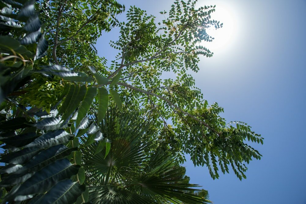 Фото Maistros Village