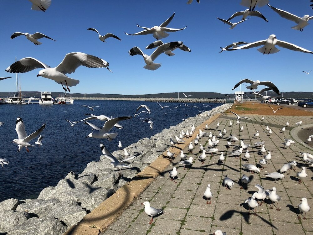 Фото Albany Foreshore Guest House