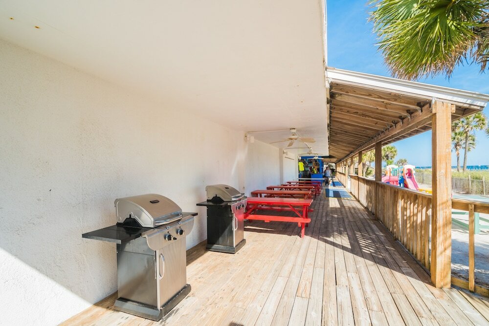 Фото Osprey on the Gulf