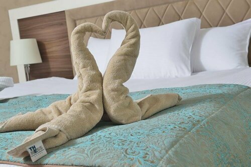 Гостиница The Ness Thermal Hotel в Башискеле