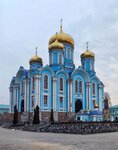 Cathedral of the Vladimir Icon of Our Lady (ulitsa Kommuny, 14А), orthodox church