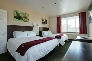 Гостиница Puffin Inn of Anchorage