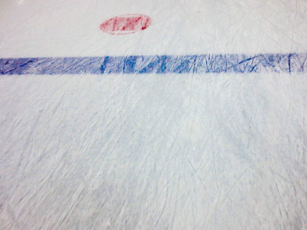 Фото Chelsea Hotel, Toronto