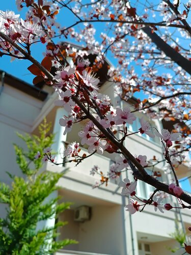 Вилла Лайт в Новофёдоровке