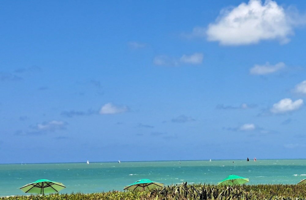 Фото Viamar Beach House