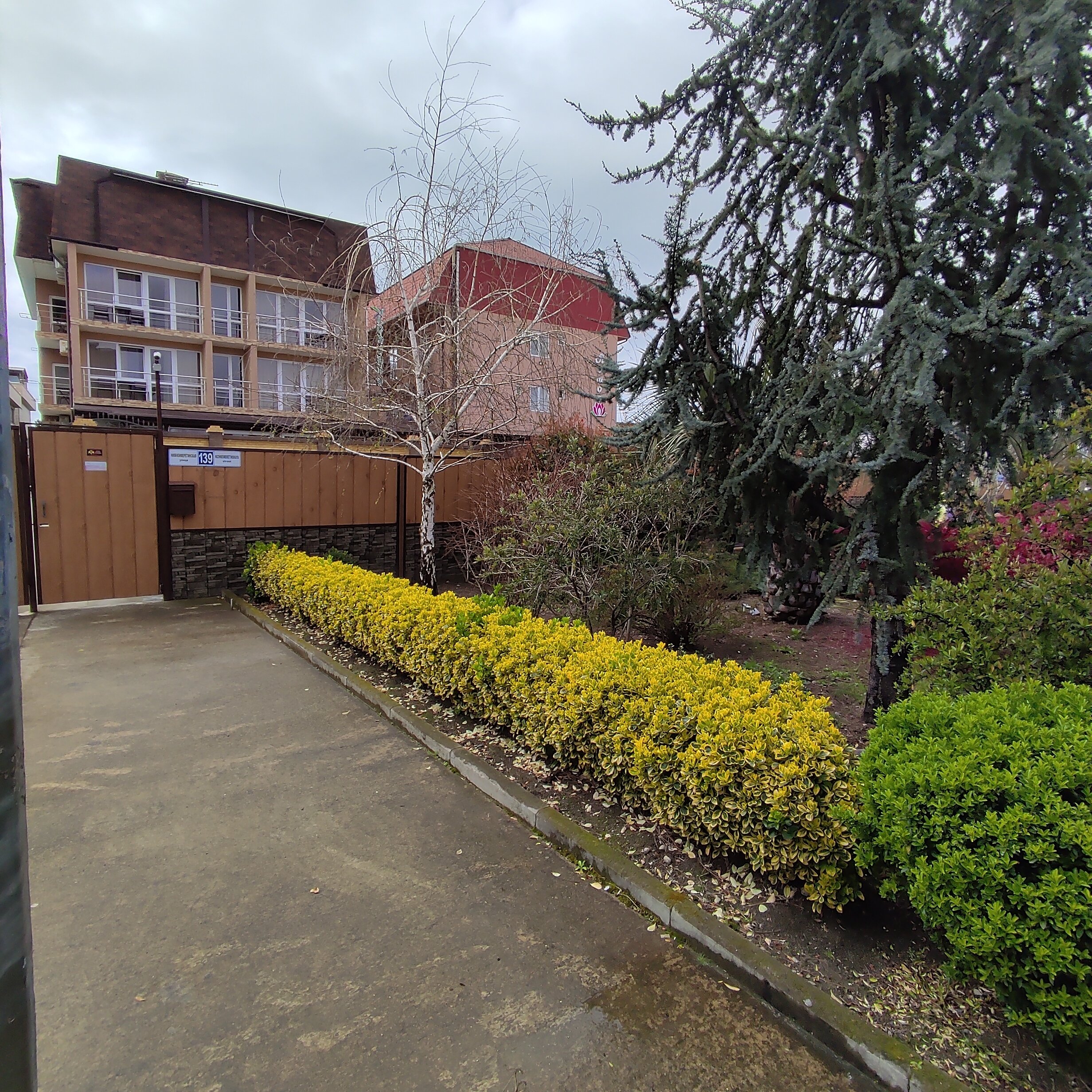 Фото Колибри