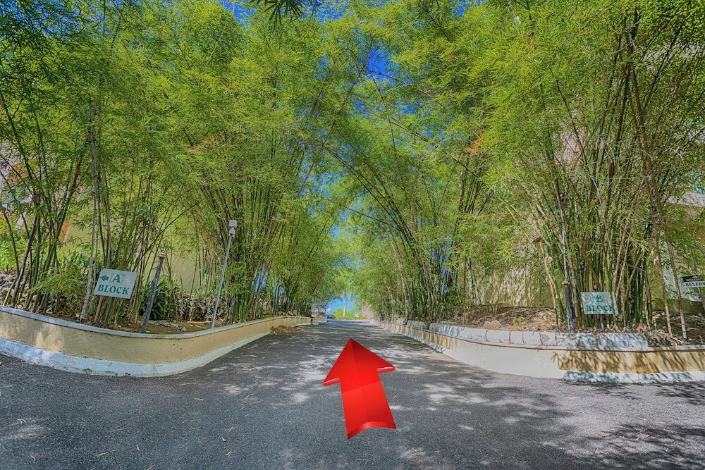 Фото Montego Bay Club