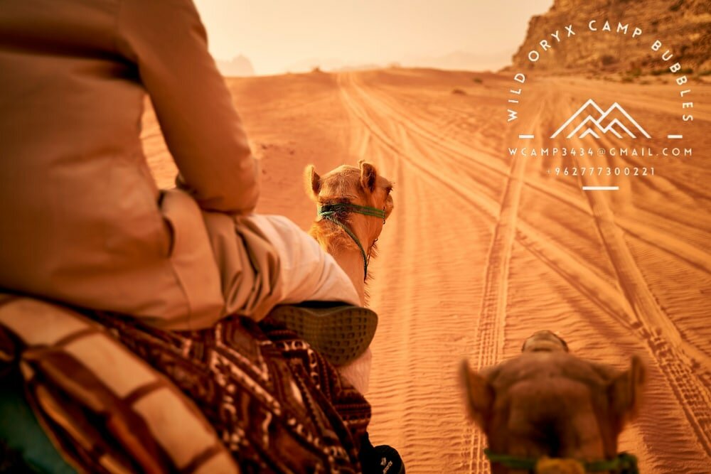 Фото Wild Oryx Camp Bubbles
