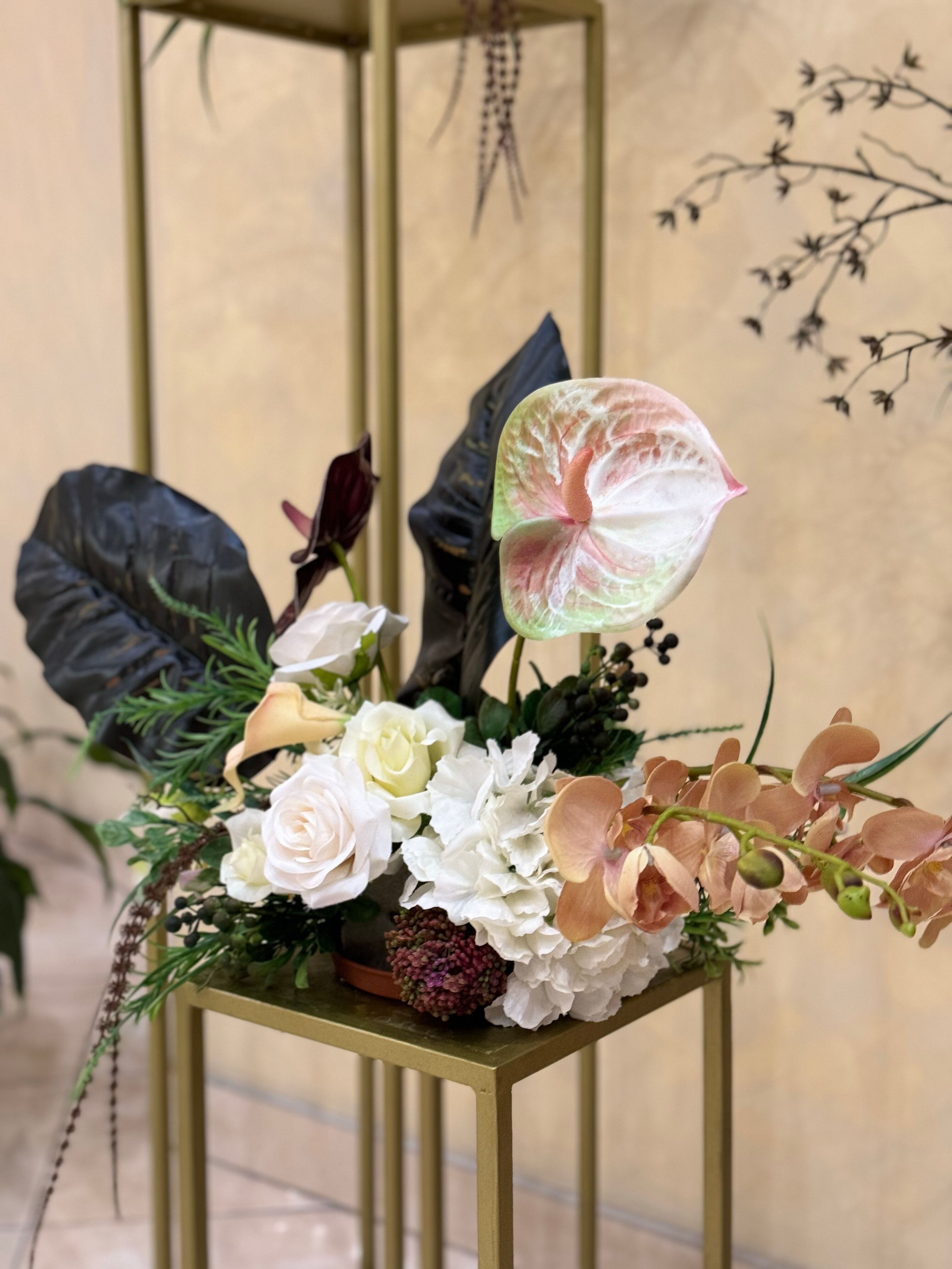 Фото Семашко