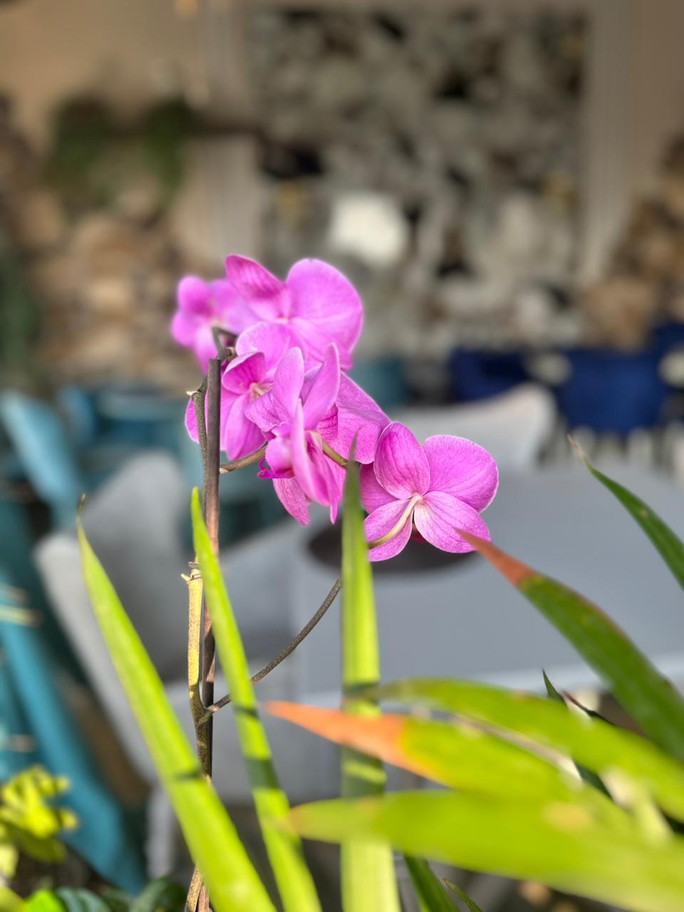 Фото Вилла Вита