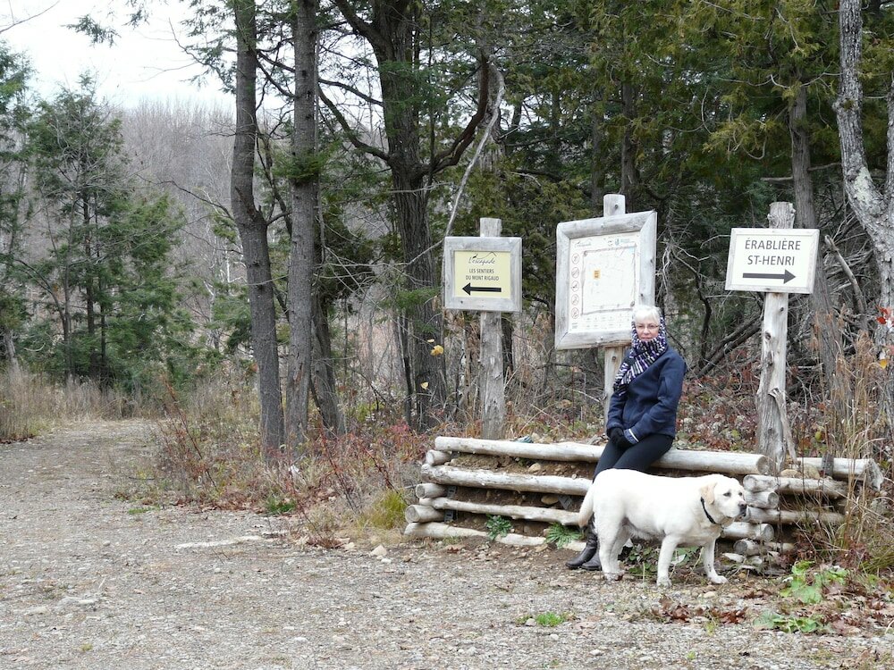 Фото Auberge des Gallant