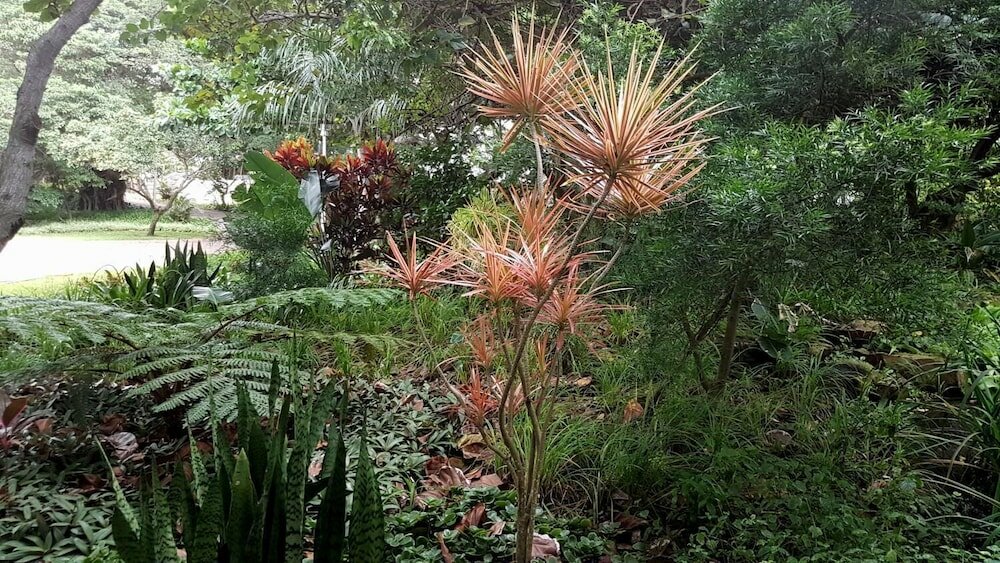 Фото Unit 1101 Oyster Rock