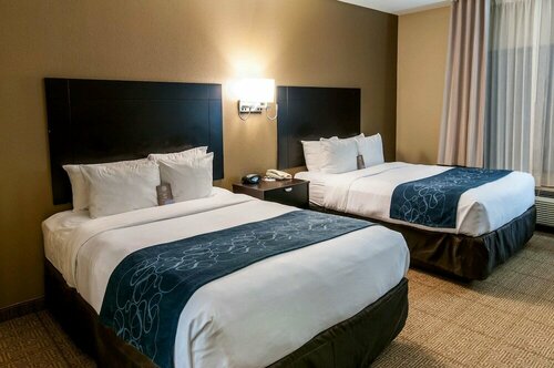 Гостиница Comfort Suites Hobby Airport