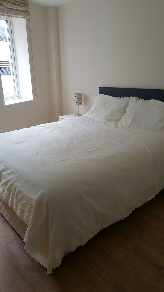 Фото Limerick City Apartment 116