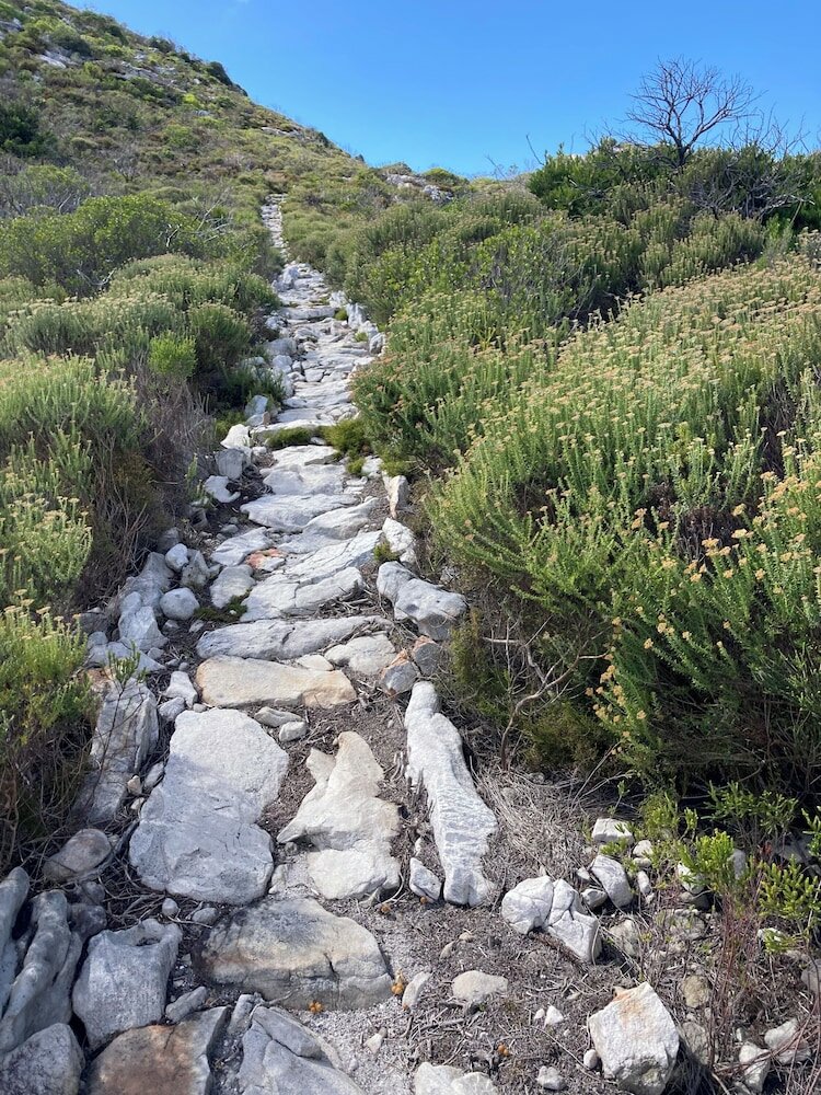 Фото Dunvegan Lodge