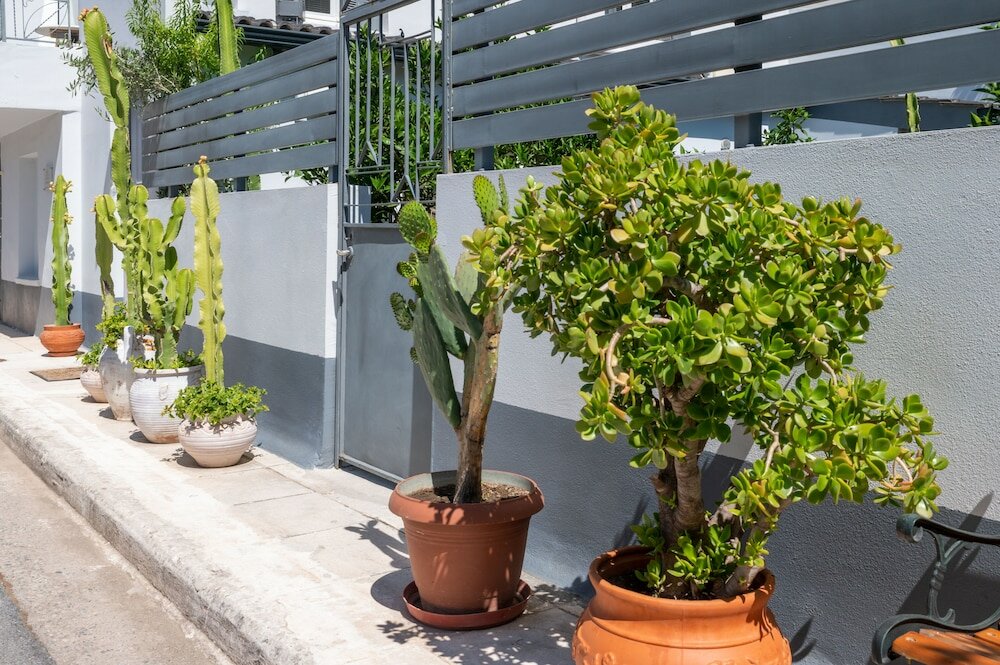 Фото City Cottage