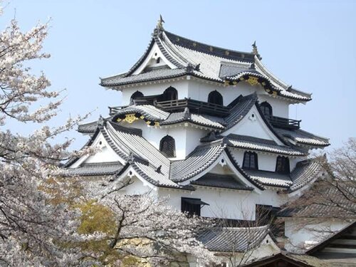 Гостиница Toyoko Inn Hikone Station Higashi