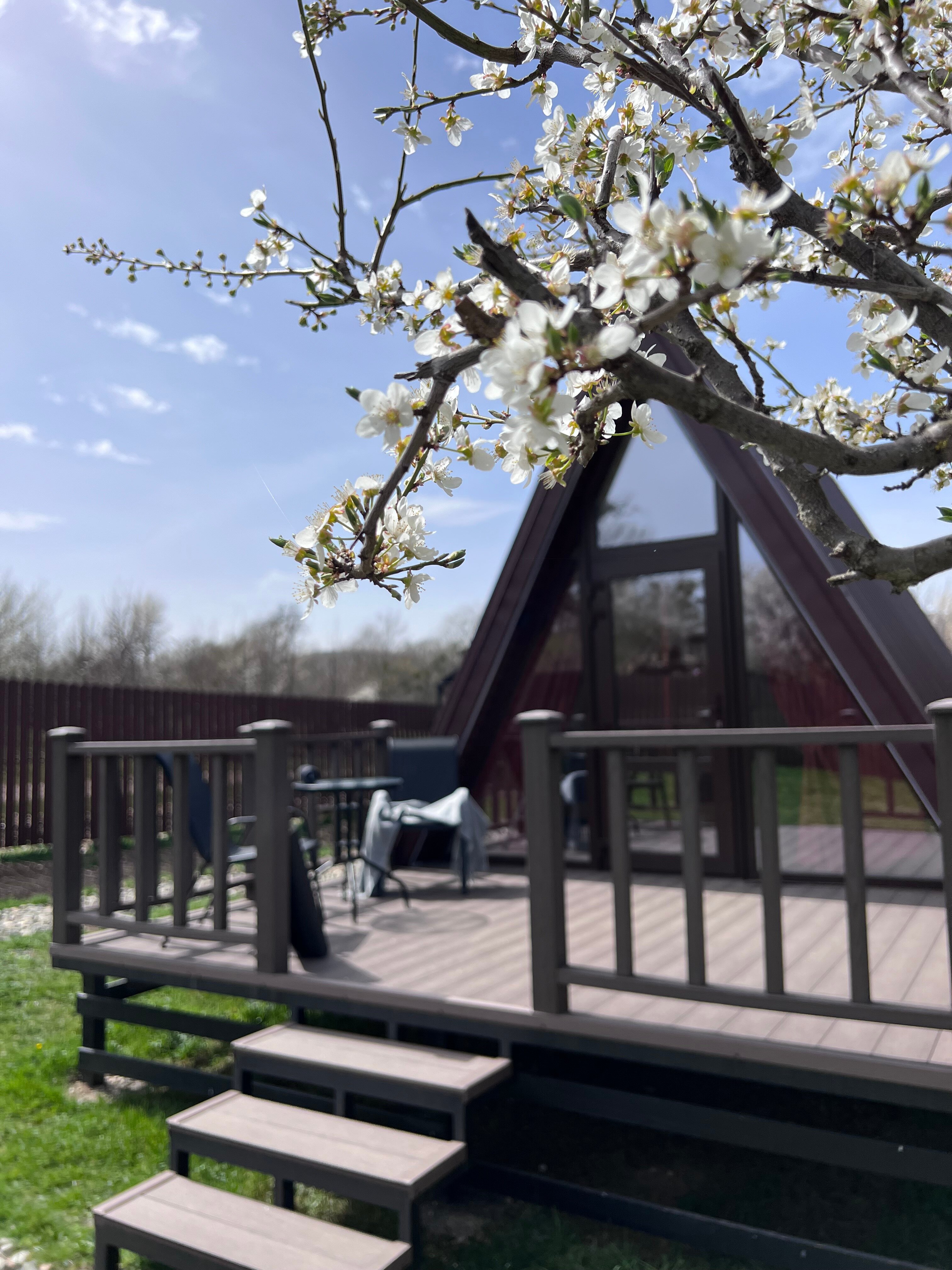 Фото Благость