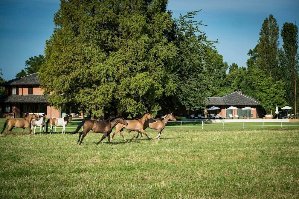 Фото Agriturismo Relais Tenuta il Cigno