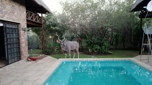 Гостиница Leisure Kruger Lodge