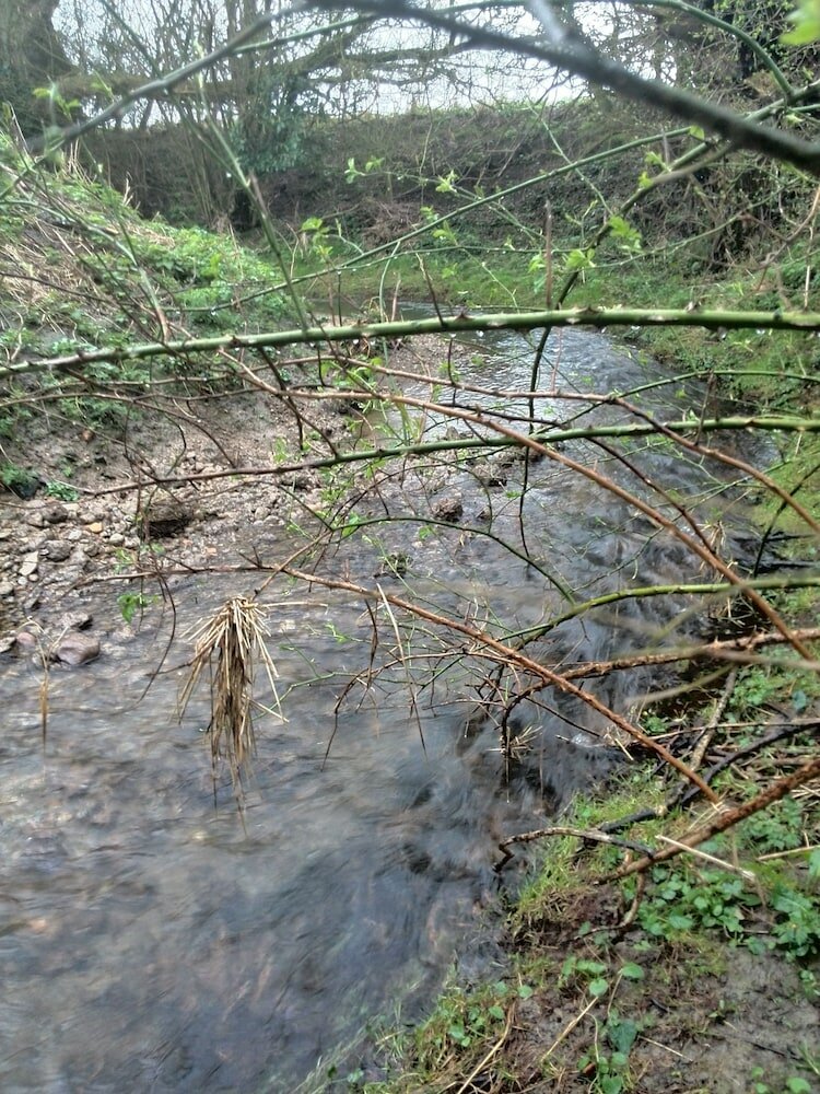 Фото Brampton Dales Farm B&b