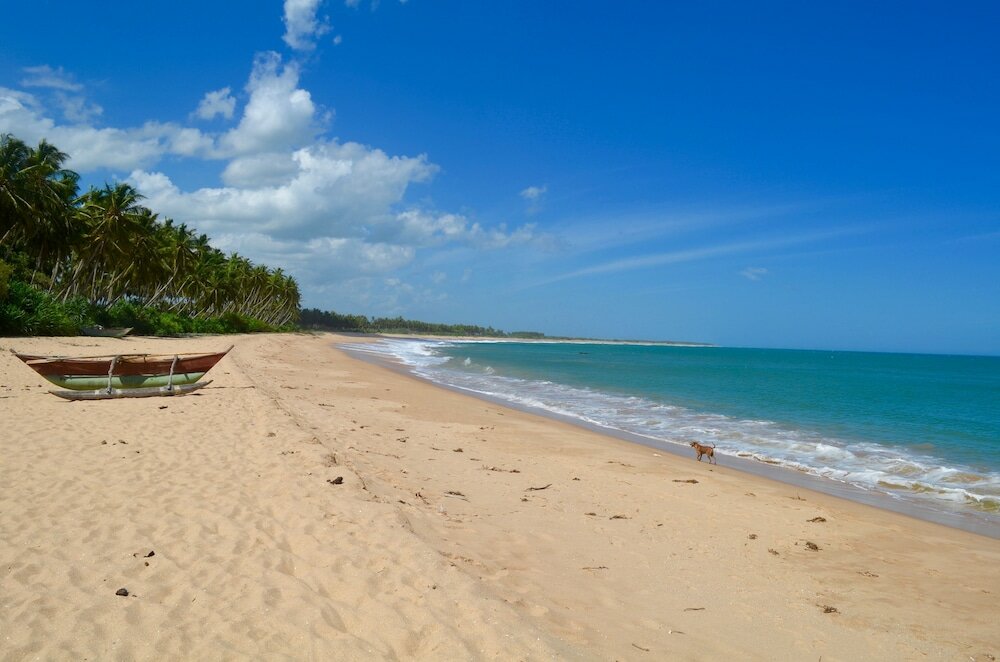 Фото Green Parrot Beach Resort