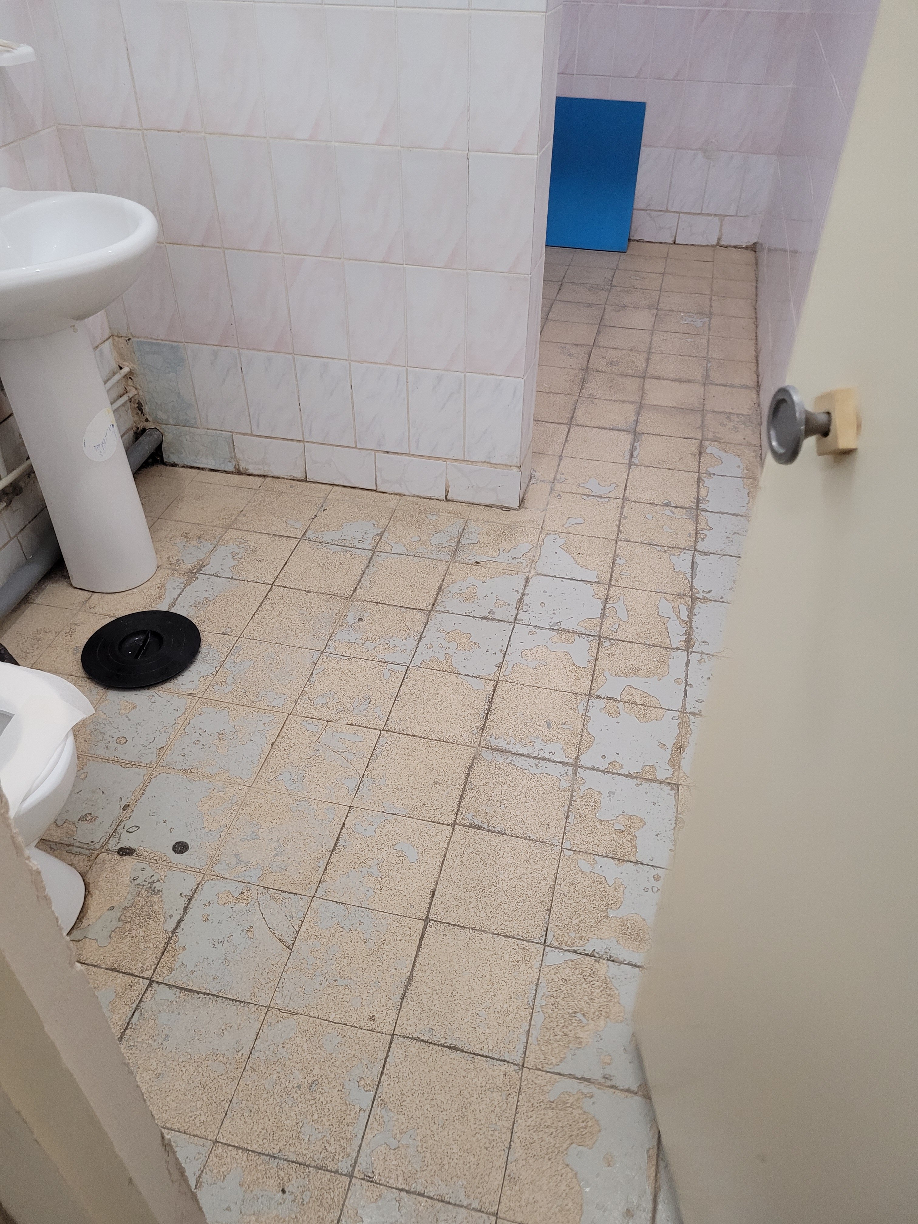 Фото Гостиница Всемирной Академии Самбо