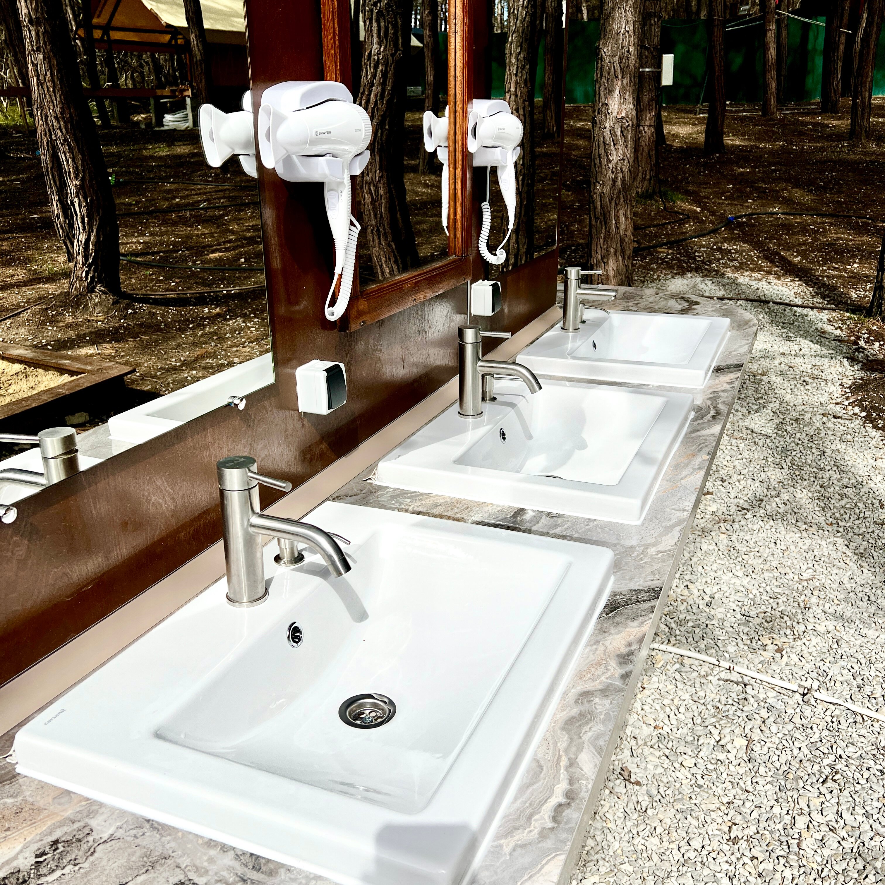 Фото Под соснами