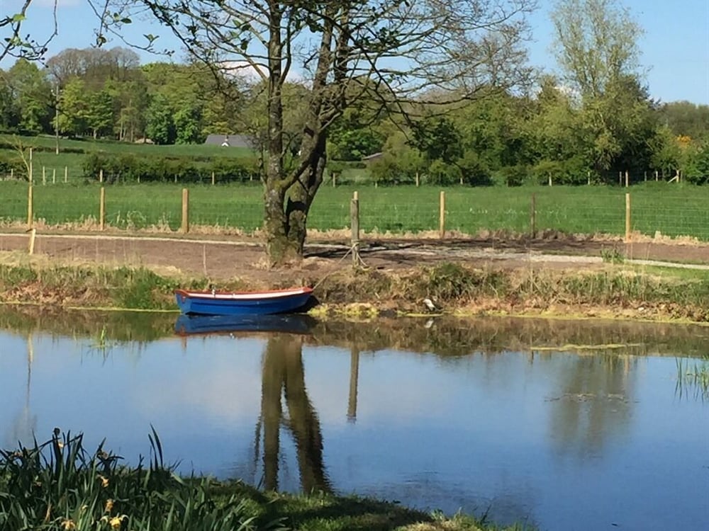 Фото Ashbrook House B&b