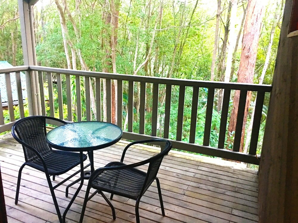 Фото Ecostudio Fellini