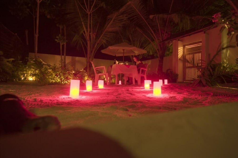 Фото Palm Garden