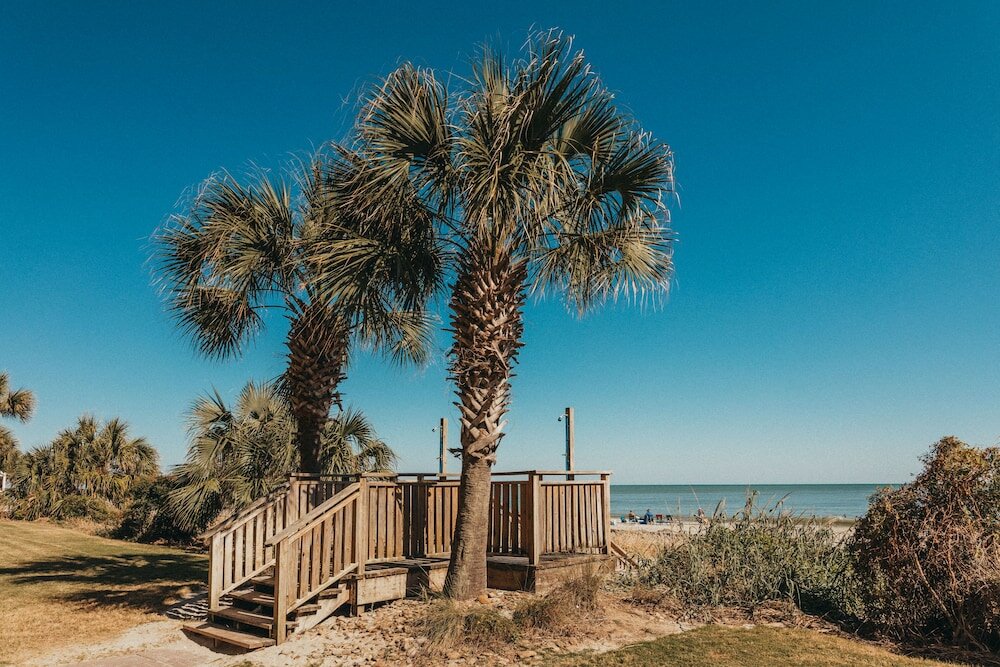 Фото Sandcastle Oceanfront Resort South Beach