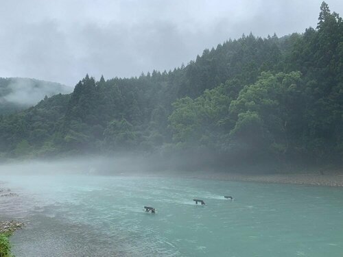 Гостиница Kawayu onsen Minshuku Sumiya