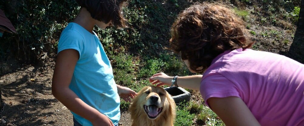 Фото Fattoria Alvaneta