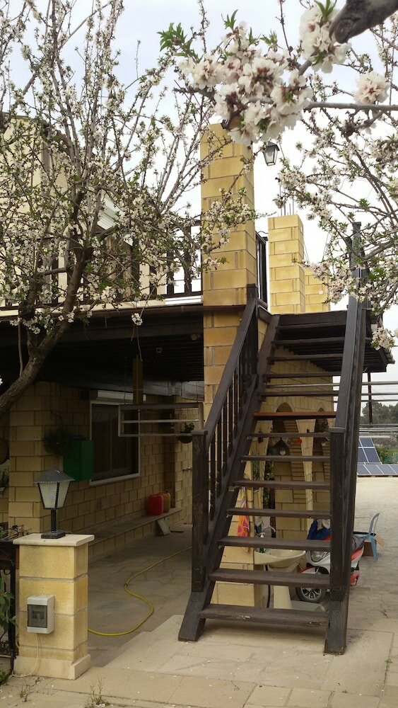 Фото George's Villa