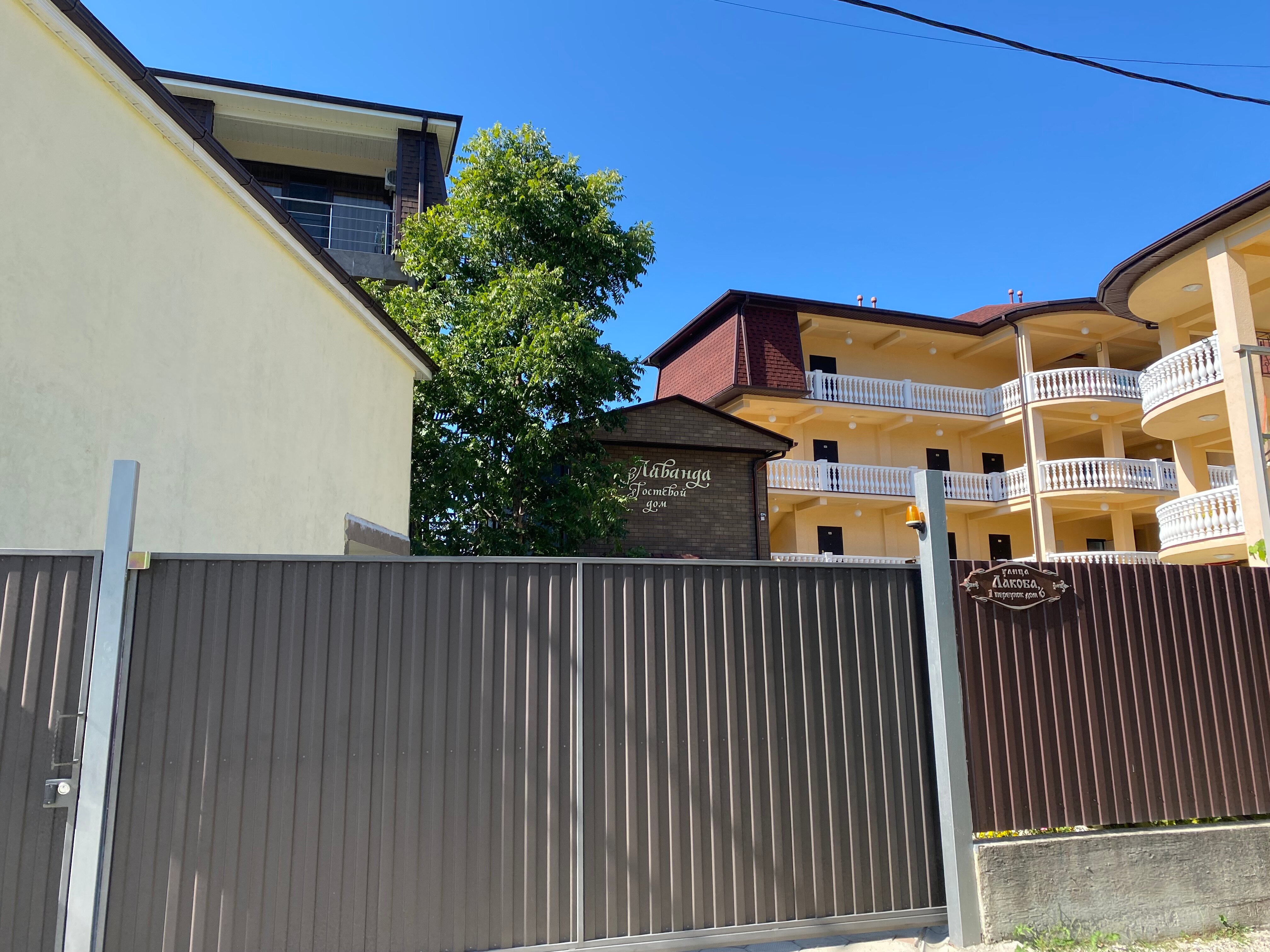 Фото Лаванда