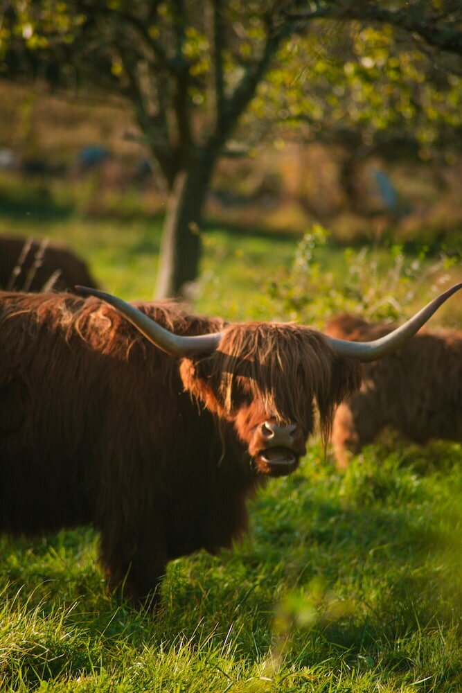 Фото Infinity Mountview