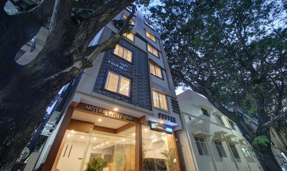 Фото Treebo Trend White Inn