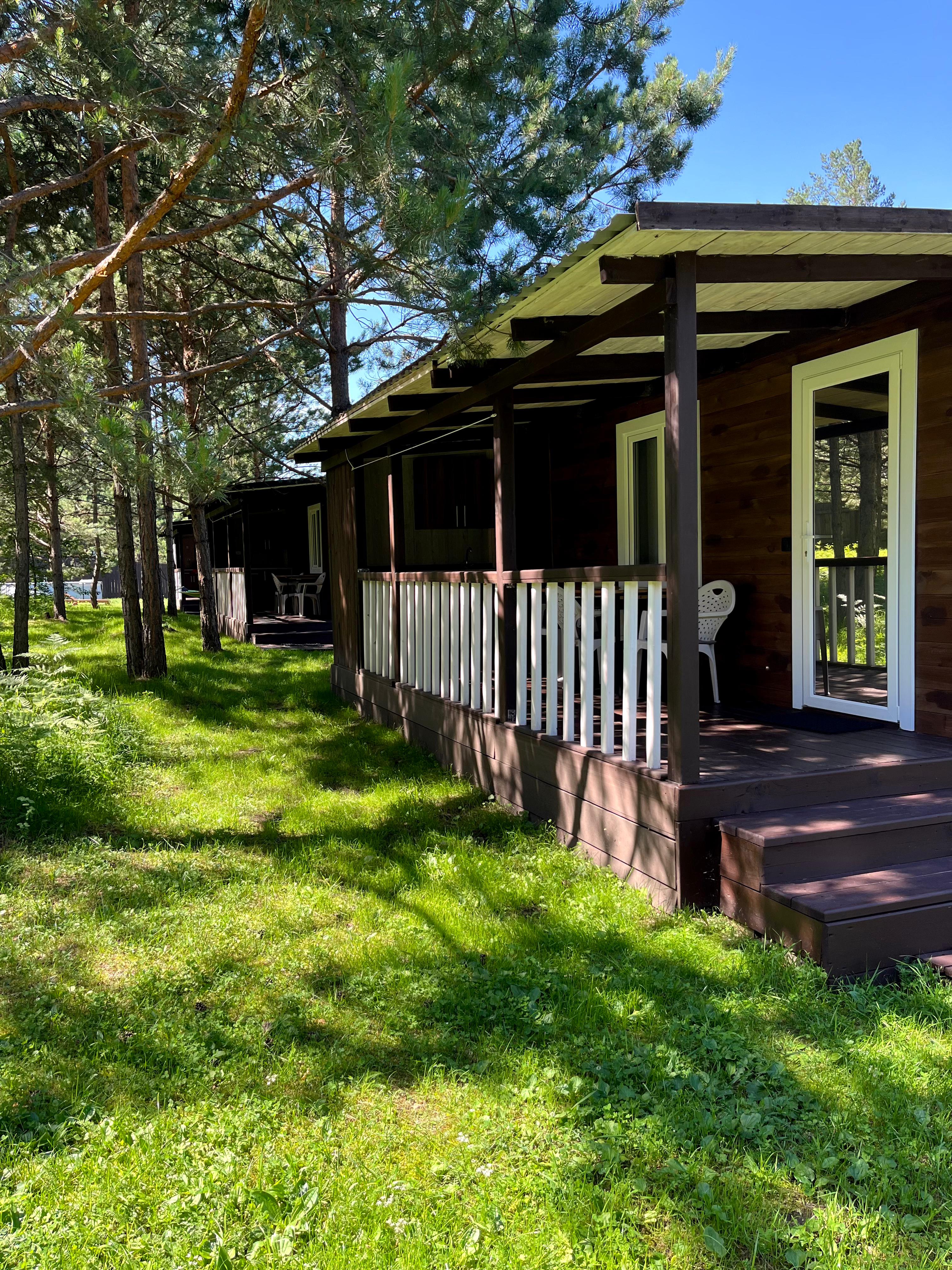 Фото Сосновый рай