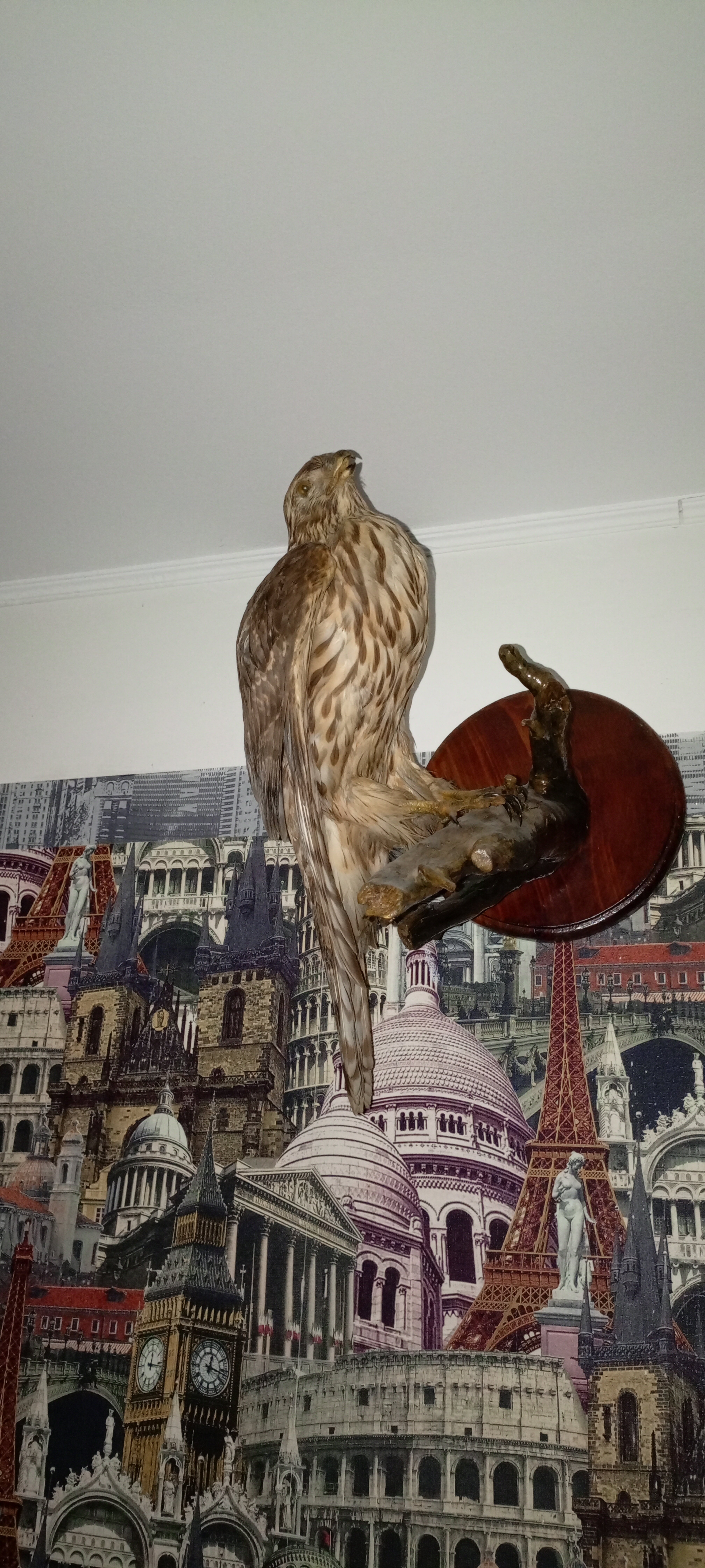 Фото Медвежий угол